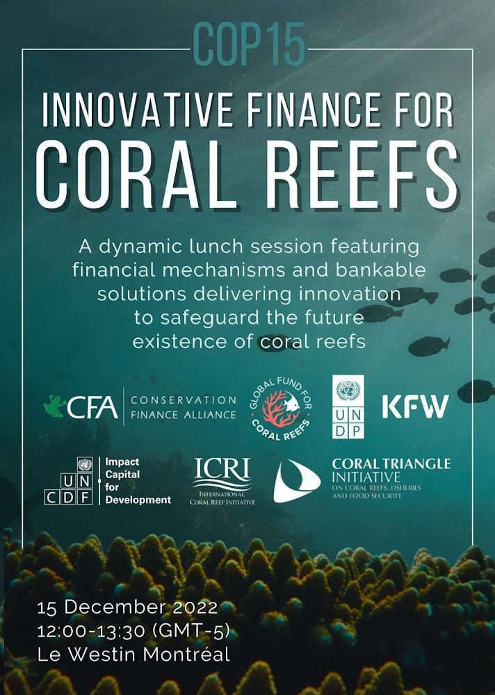 Innovative Finance for Coral Reefs Event & Lunch