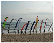 First Coral Triangle Day Celebrated Across the Region