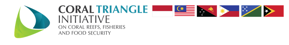 Coral Triangle Region Faces Escalating Plastic Pollution Crisis