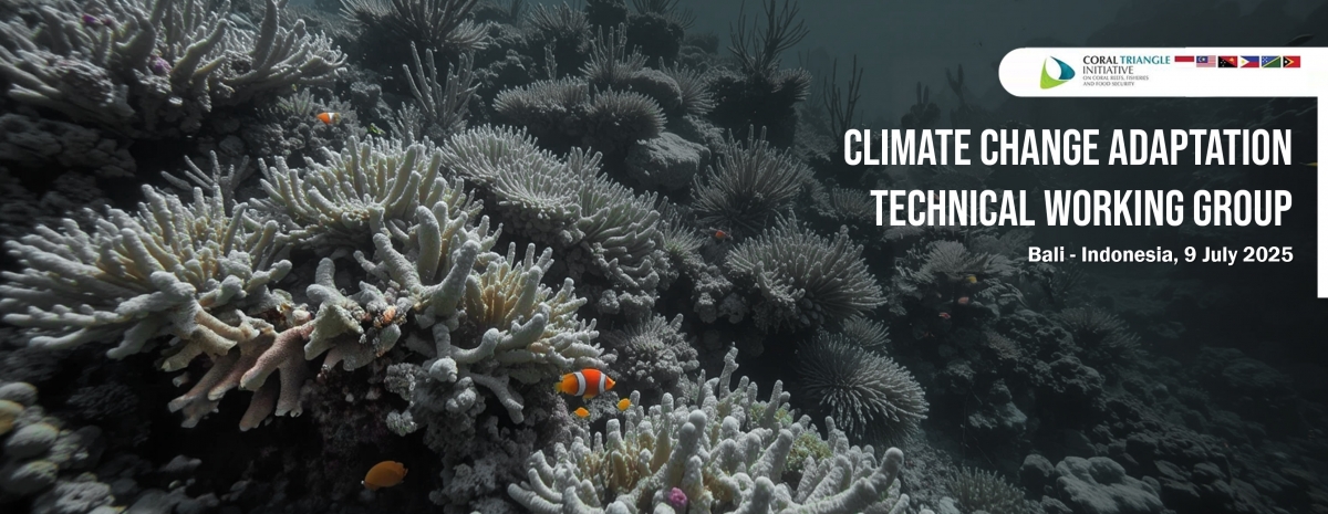 Regional Collaboration Strengthens Climate Change Adaptation in the Coral Triangle