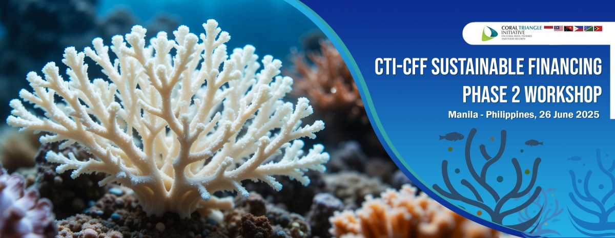 CTI-CFF Sustainable Financing Phase 2 Workshop