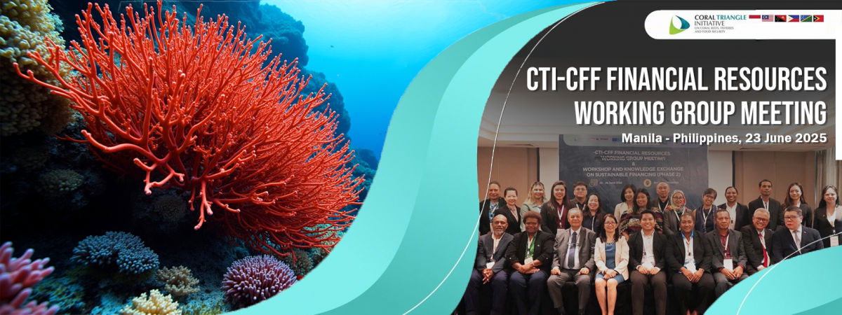 CTI-CFF Financial Resources Working Group Meeting 2025