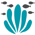 Nursery Ground for 37% of Global Reef Fish