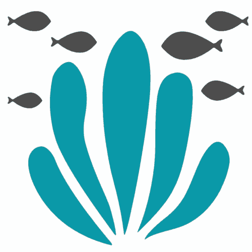 nursery-ground-37-global-reef-fish