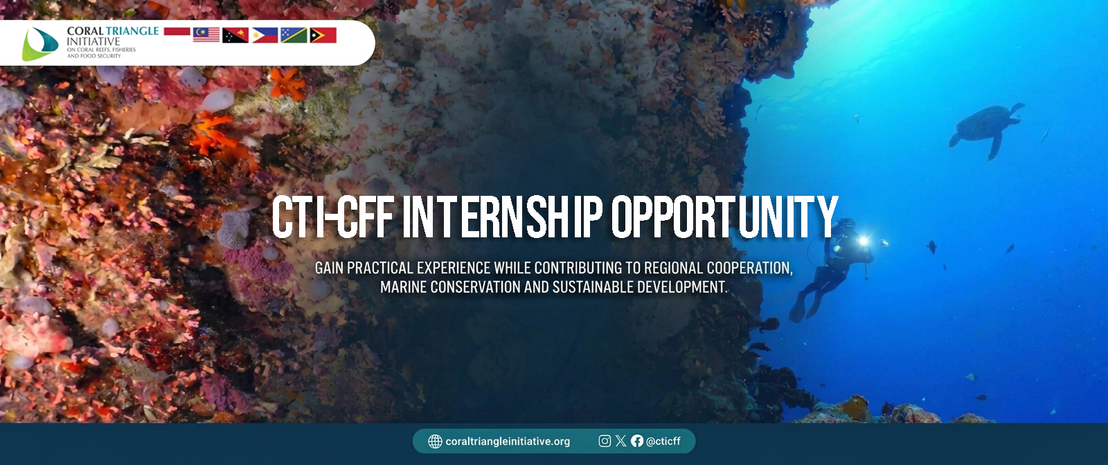 CTI-CFF Internship Opportunity
