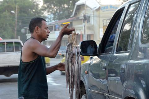 Octopus seller Dili
