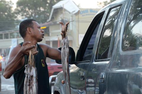 Squid seller Dili 8537
